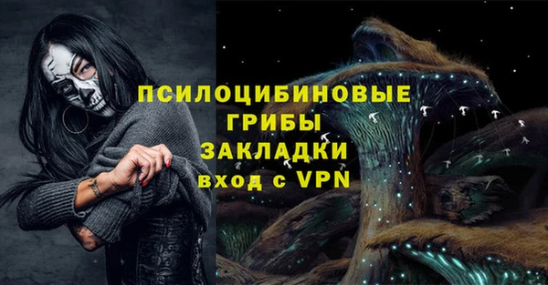 первитин Алексеевка