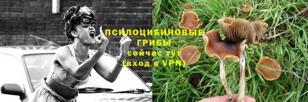 таблы Алзамай
