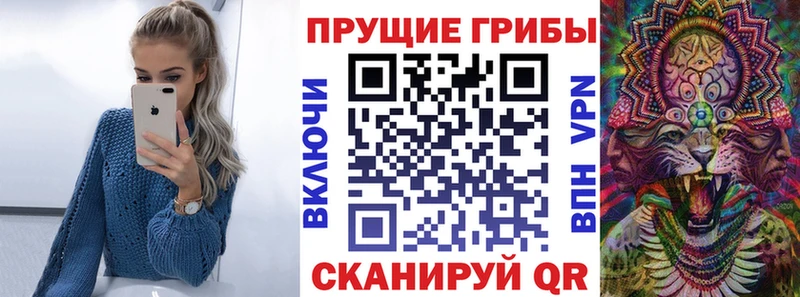 продажа наркотиков  Новошахтинск  Галлюциногенные грибы Psilocybine cubensis 