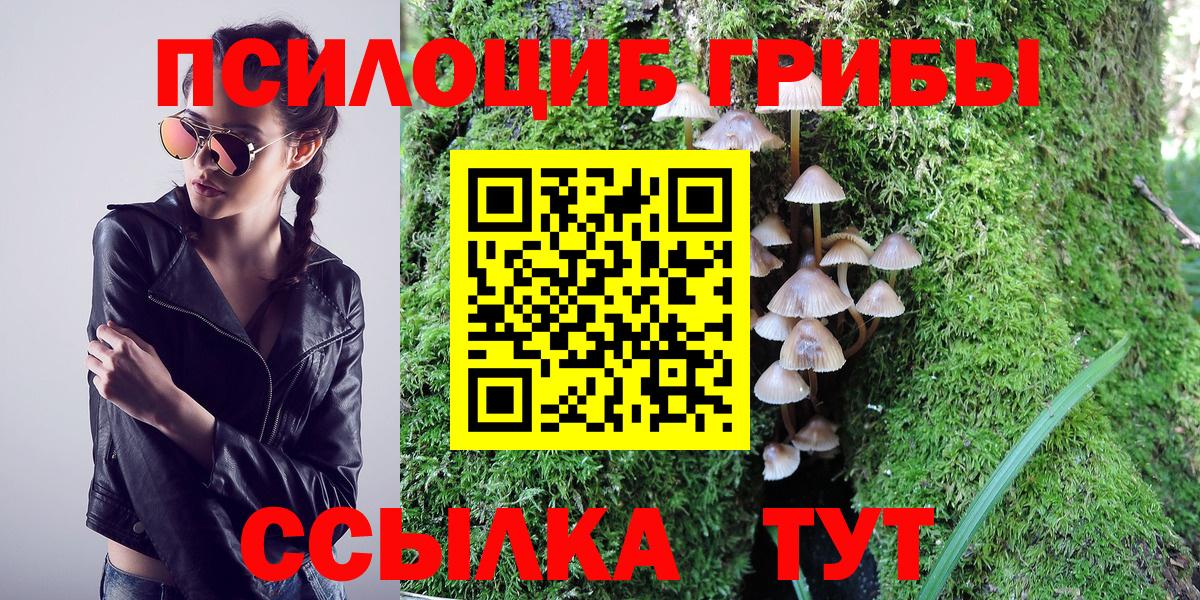 Псилоцибиновые грибы GOLDEN TEACHER  Вход с VPN  сколько стоит  Новошахтинск  Псилоцибиновые грибы Magic Shrooms 