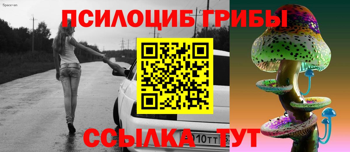 Псилоцибиновые грибы Magic Shrooms Новошахтинск